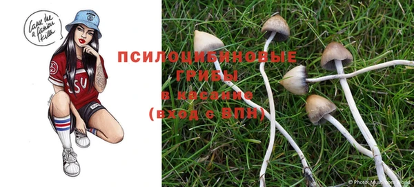 MDMA Premium VHQ Волосово