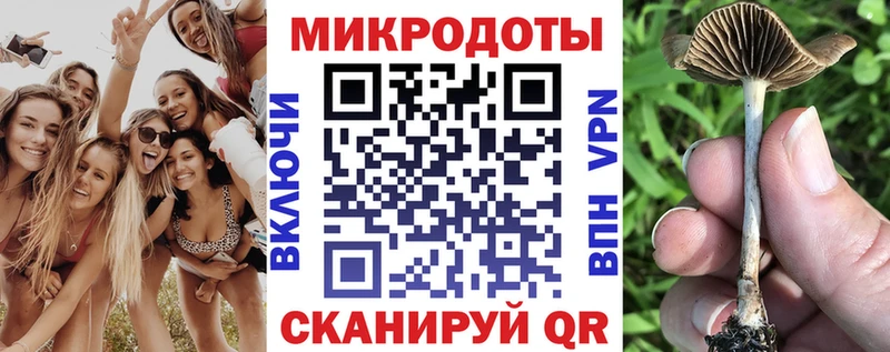 купить   Ипатово  Псилоцибиновые грибы GOLDEN TEACHER 